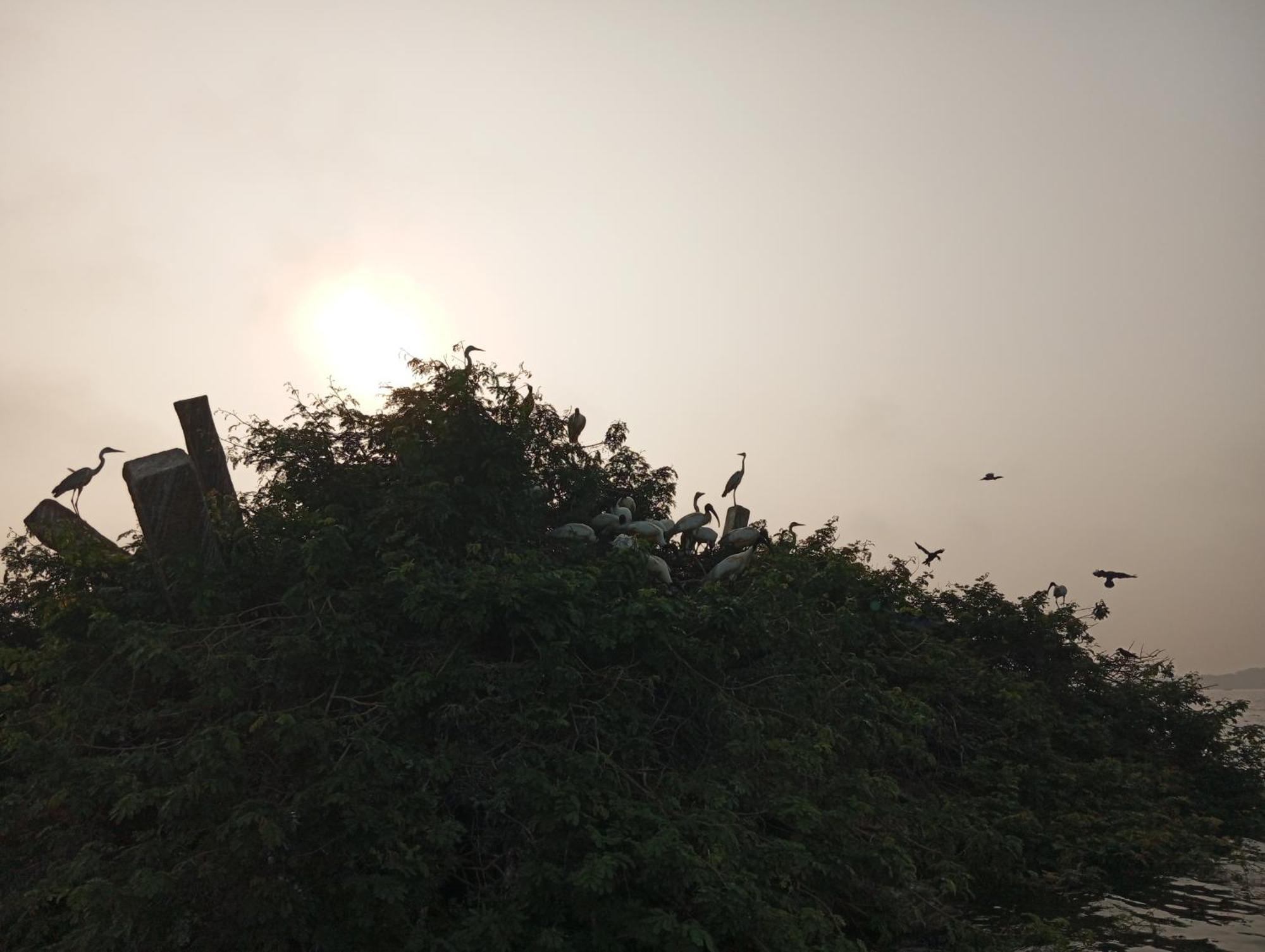 Windy Villa Polonnaruwa Buitenkant foto