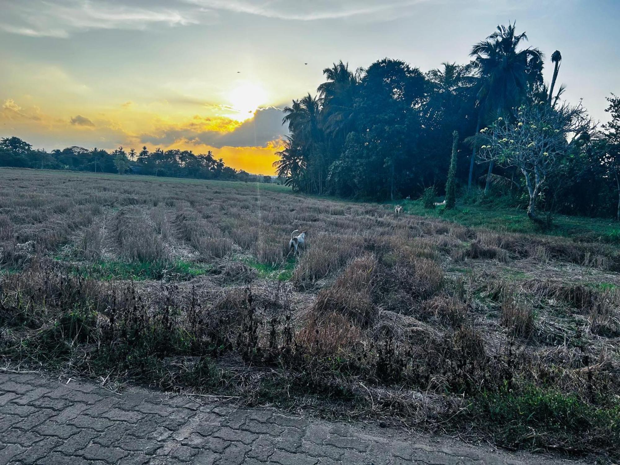 Windy Villa Polonnaruwa Buitenkant foto