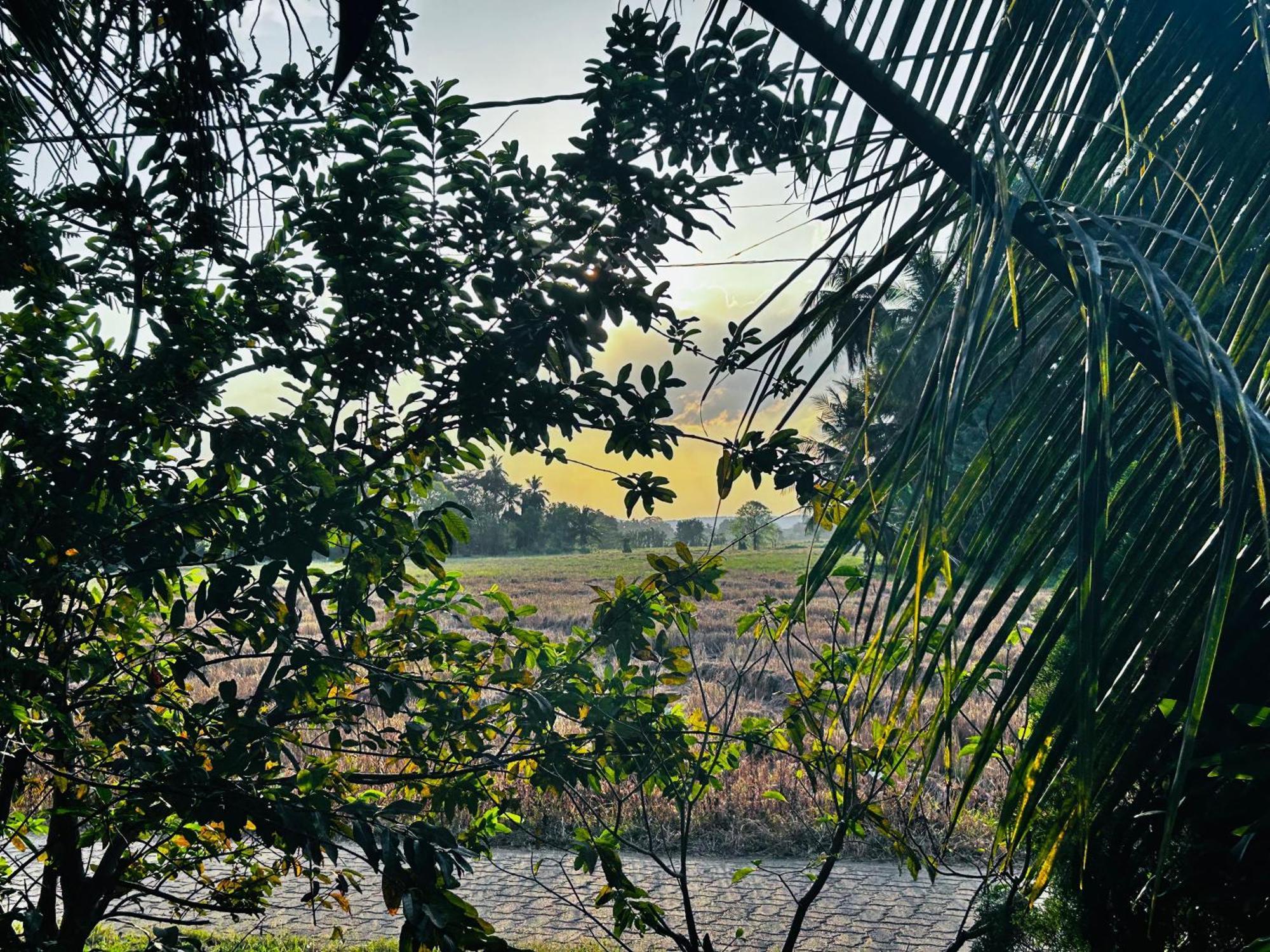 Windy Villa Polonnaruwa Buitenkant foto