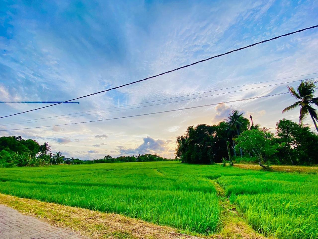 Windy Villa Polonnaruwa Buitenkant foto