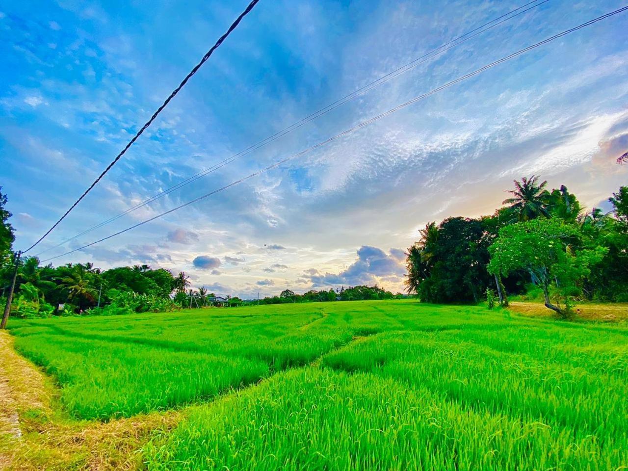 Windy Villa Polonnaruwa Buitenkant foto